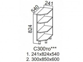 С300то Стол-рабочий 300 (торцевой открытый) в Урае - uraj.magazin-mebel74.ru | фото