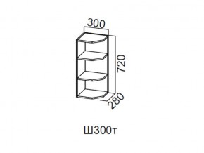 Ш300т/720 Шкаф навесной 300/720 (торцевой) в Урае - uraj.magazin-mebel74.ru | фото