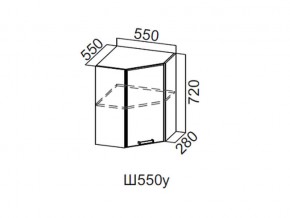 Ш550у/720 Шкаф навесной 550/720 (угловой) в Урае - uraj.magazin-mebel74.ru | фото