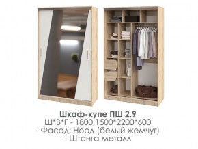 шкаф-купе ПШ-2.9 1500 Норд Белый жемчуг 1500 в Урае - uraj.magazin-mebel74.ru | фото