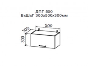 Шкаф верхний ДПГ500 горизонтальный в Урае - uraj.magazin-mebel74.ru | фото