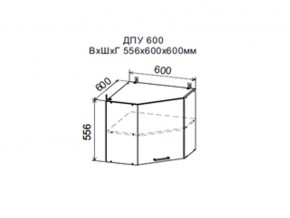 Шкаф верхний ДПУ600 угловой в Урае - uraj.magazin-mebel74.ru | фото